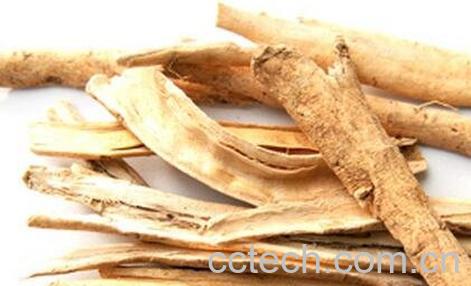 白鲜皮的副作用及禁忌-0