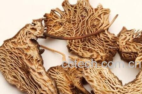 升麻的功效与作用 -0