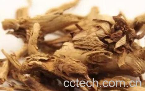 薏苡仁根的功效与作用-0