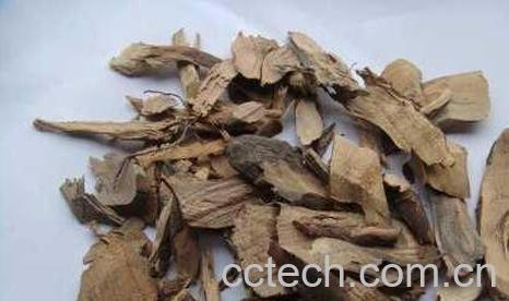 油甘根的功效与作用-0