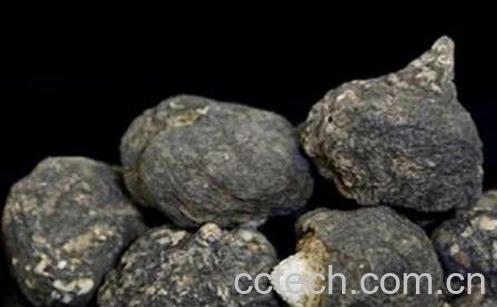 黑玛卡的功效与作用-0