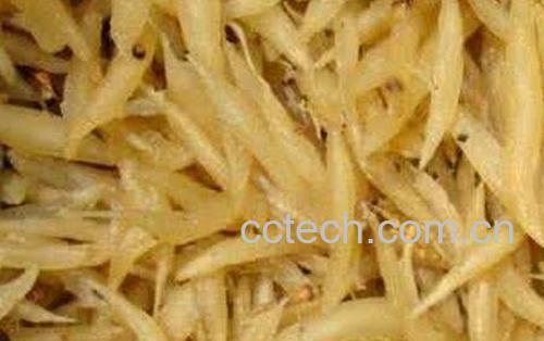 天冬的功效与作用 -0