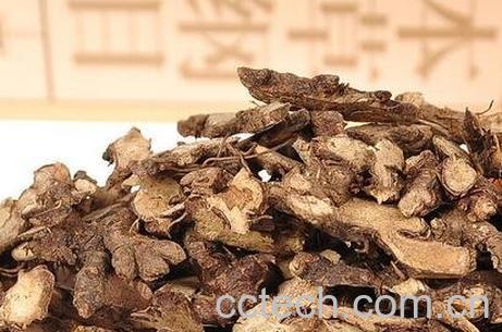 淫羊藿根的功效与作用及食用方法-0