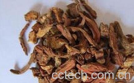 中药大红袍的功效与作用-0