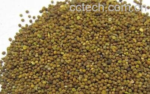 菟丝子的功效与作用-0