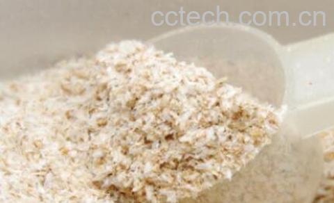 车前子壳的功效与作用-0