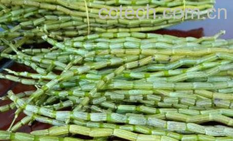 铁皮石斛怎么吃-0