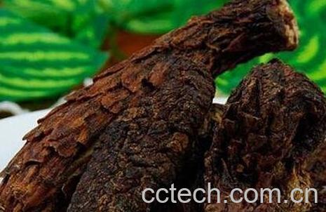 肉苁蓉的功效与作用-0