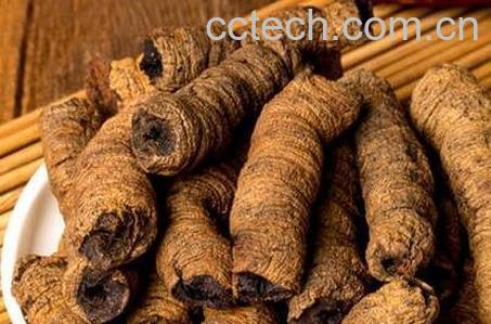 巴戟天的功效与作用及食用方法-0