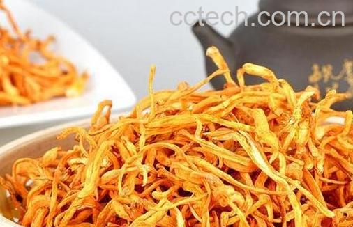 虫草花的功效与作用及食用方法-0