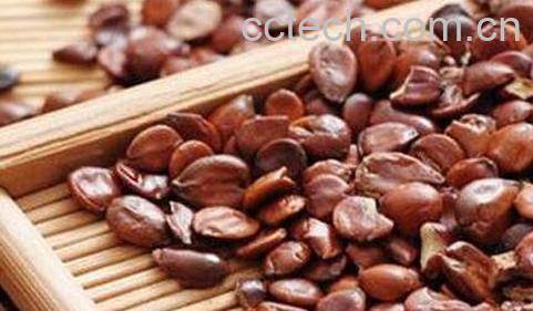 炒酸枣仁的功效与作用及食用方法-0