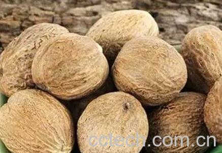 肉豆蔻的功效与作用-0