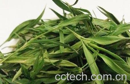 竹子叶泡水喝的功效-0