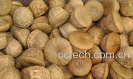 壮阳果怎么泡水喝-0