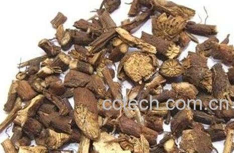 中草药山豆根的功效与作用-0