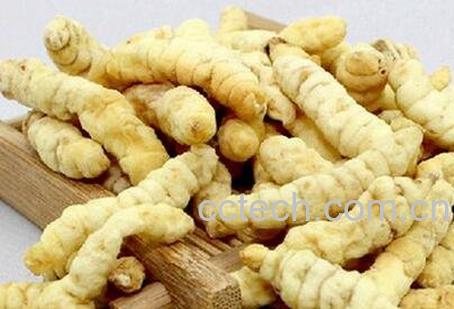 泽兰根的功效及食用方法-0