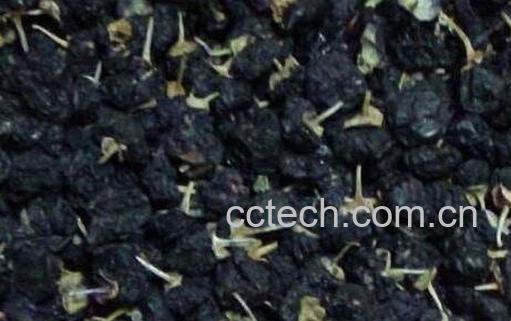黑枸杞的食用方法及禁忌-0