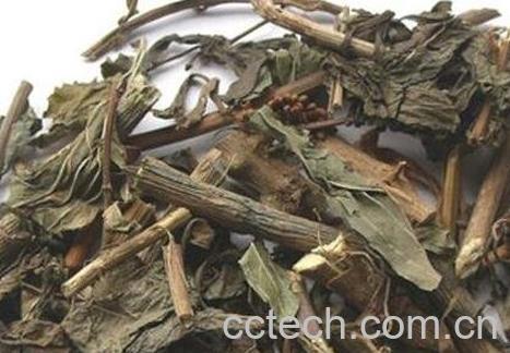 佩兰的功效与作用及食用方法-0