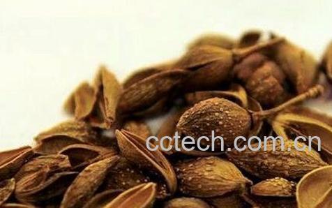 连翘的功效及作用-0