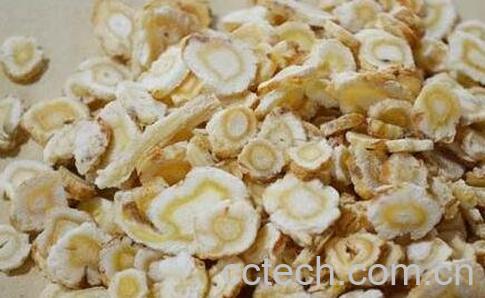 北沙参的功效及作用-0