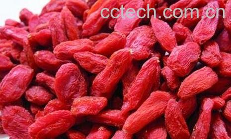 枸杞子的副作用 -0