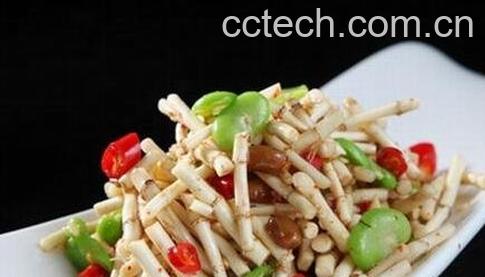 鱼腥草根的功效与作用及食用方法-0