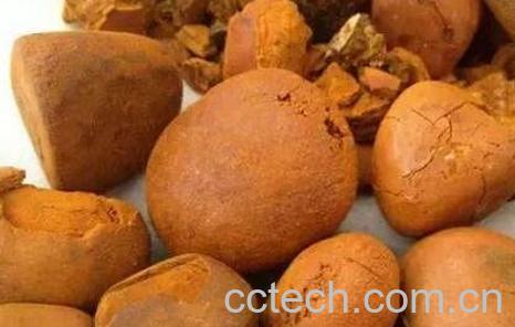 牛黄的功效与作用-0