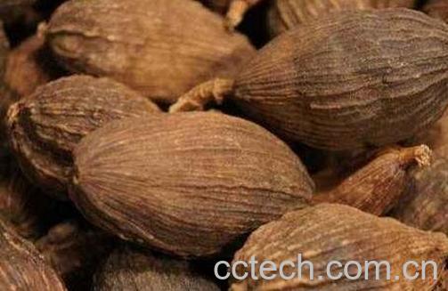  草果的食用方法及禁忌-0