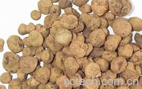 元胡的食用方法及禁忌-0