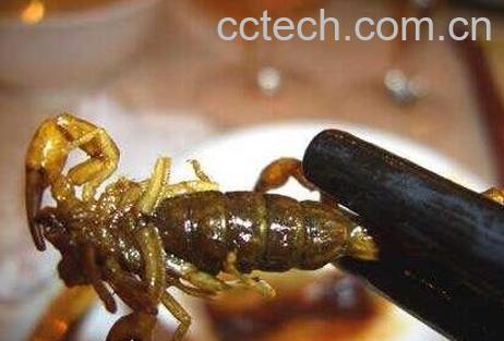  全蝎的食用方法及禁忌-0