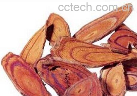 紫血藤的功效与作用-0