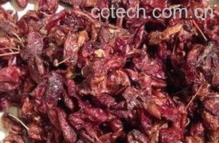 酒朱萸肉的功效与作用-0