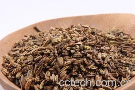 中药小茴香性味归经 功效作用及应用-0