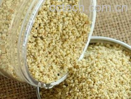 紫苏籽仁的功效与作用-0