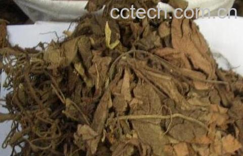 走马胎的功效及作用-0