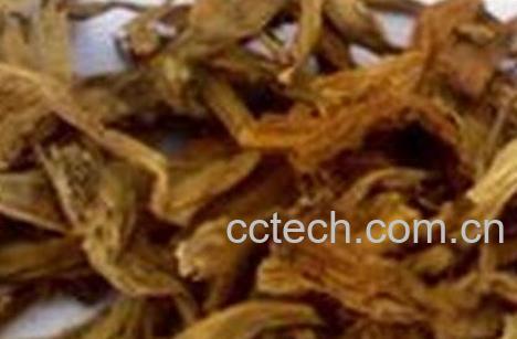 醉仙桃花的功效与作用-0