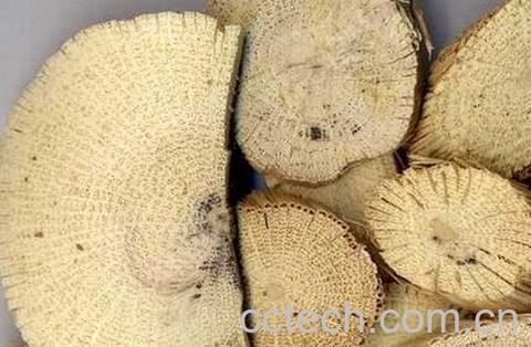 关木通的功效作用与副作用-0