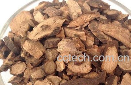 中药赤芍性味归经 -0