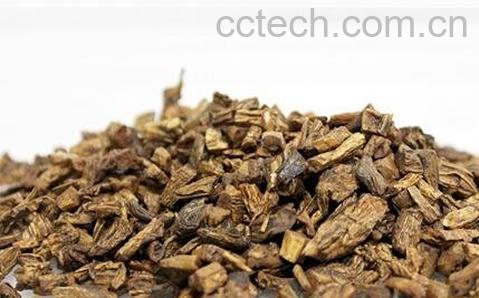 百部的功效与作用-0