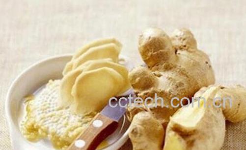 中药姜疗的功效与作用-0