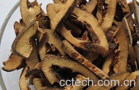 麸炒枳壳的作用与功效-0