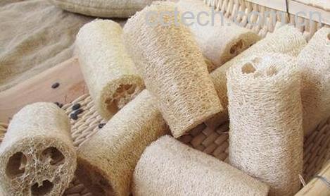 干丝瓜壳的药用价值-0