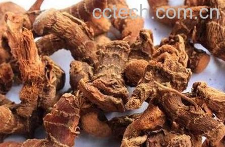 中药良姜的功效与作用-0