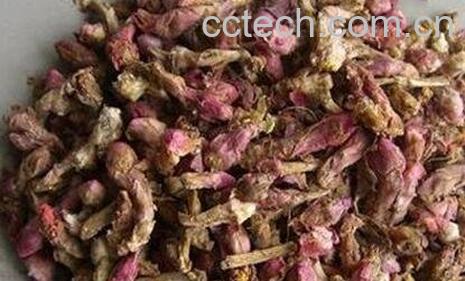 灸款冬花的功效与作用-0