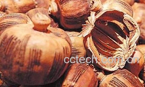 枫粟壳的功效与作用-0