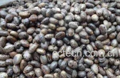 必麻籽的功效与作用-0