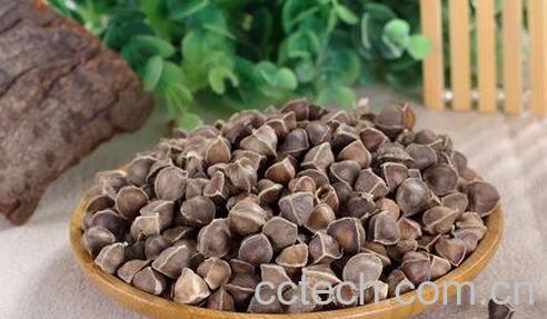 g木籽的功效与食用方法-0