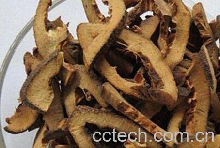 中药麸枳壳的功效与作用及禁忌-0