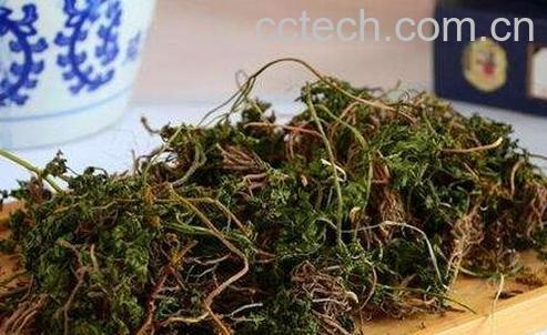 小春花的功效与作用-0