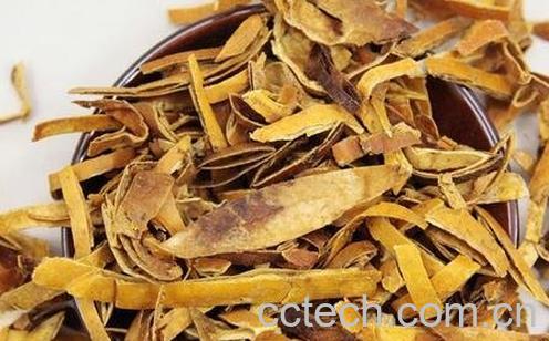 蒲瓜壳的功效与作用-0